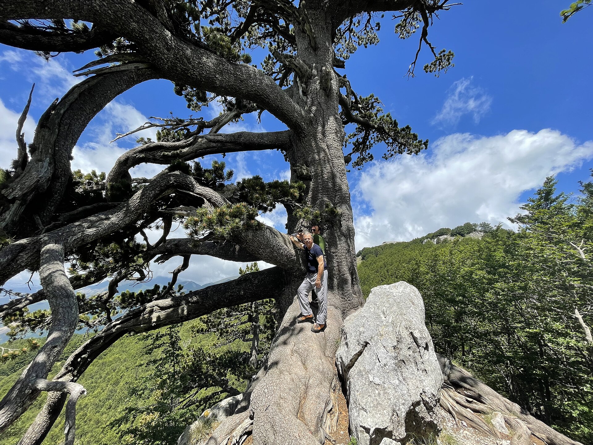 Parco Nazionale del Pollino