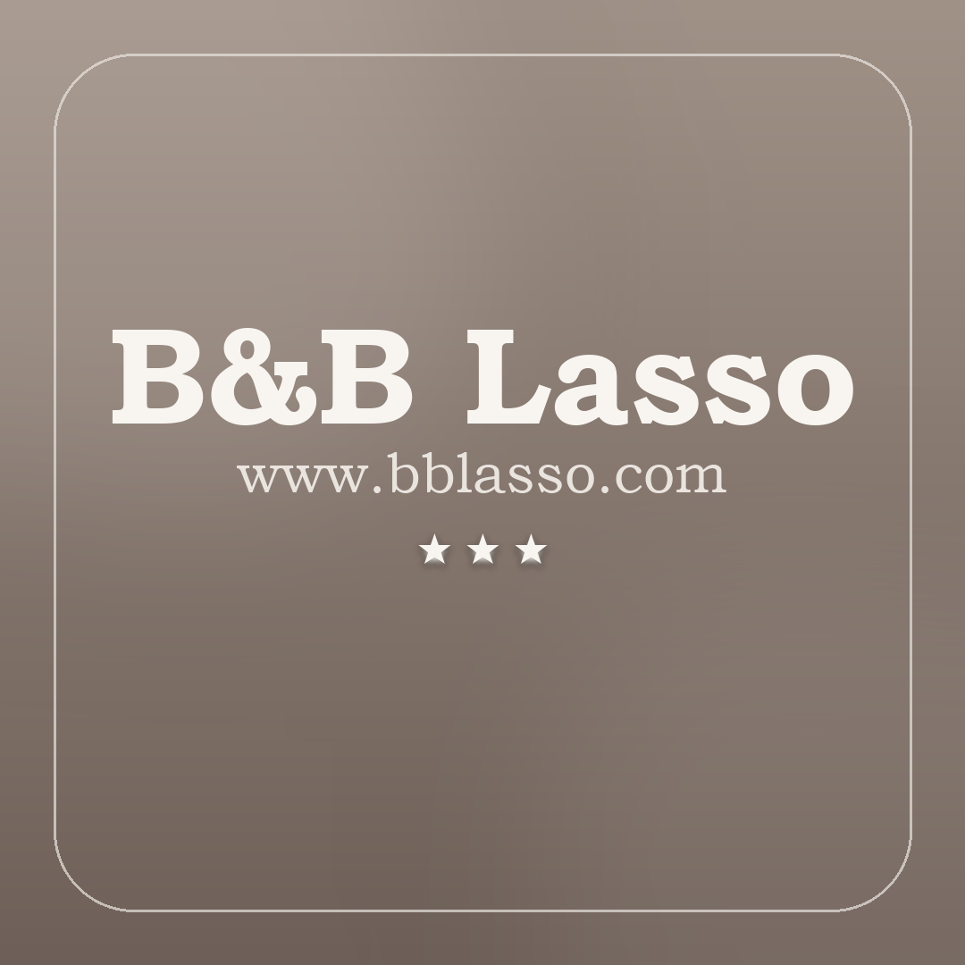 Assistente B&B Lasso